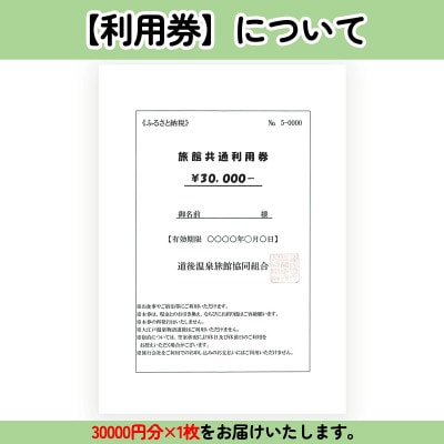 旅館共通利用券　30,000円分