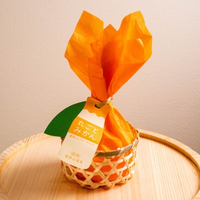 丸ごとみかんチーズケエキ5個