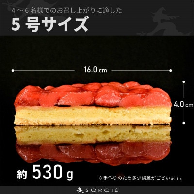 魔法洋菓子店ソルシエの苺のコンポート タルトケーキ 5号 直径16cm 4人～6人分 約530g