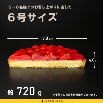 魔法洋菓子店ソルシエの苺のコンポート タルトケーキ 6号 6人～8人分 直径19cm 約720g