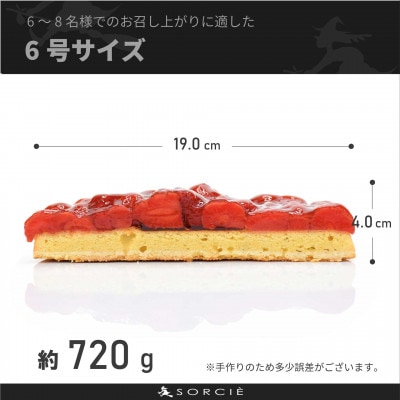 魔法洋菓子店ソルシエの苺のコンポート タルトケーキ 6号 6人～8人分 直径19cm 約720g