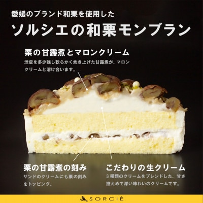 魔法洋菓子店ソルシエの和栗モンブラン ケーキ 5号 直径16cm 5人～7人分 約700g