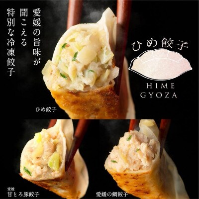 愛媛甘とろ豚餃子(18個)愛媛の鯛餃子(15個)ひめ餃子(28個)