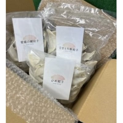 愛媛甘とろ豚餃子(18個)愛媛の鯛餃子(15個)ひめ餃子(28個)