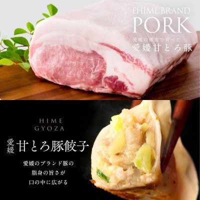 愛媛甘とろ豚餃子(60個)