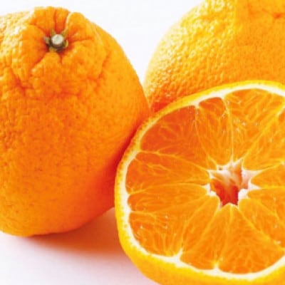 【家庭用】不知火 約5kg