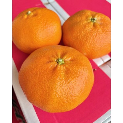 【ご家庭用】甘平 約5kg