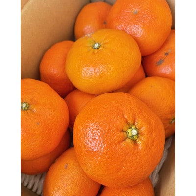 【ご家庭用】甘平 約5kg