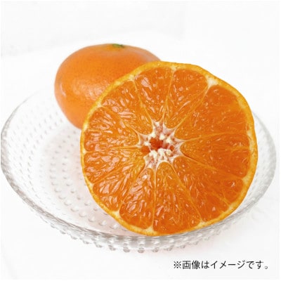 【ご家庭用】甘平 約5kg