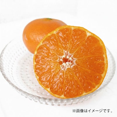 【ご家庭用】甘平 約3kg