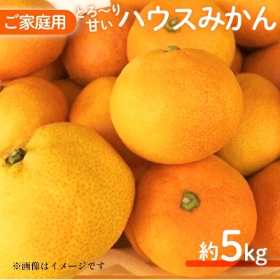 【数量限定】【訳あり】 ハウスみかん 5kg