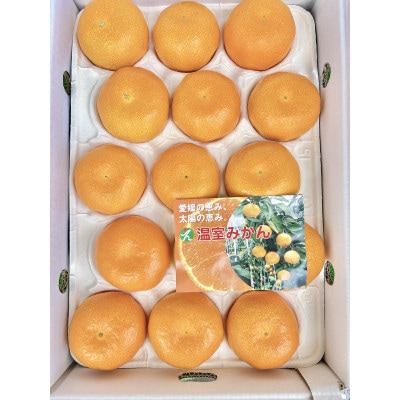 ハウスみかん　5kg(秀品)