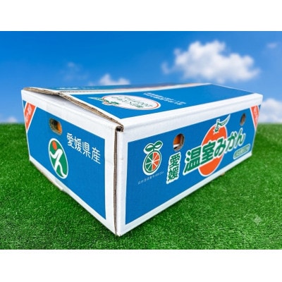 ハウスみかん　5kg(秀品)