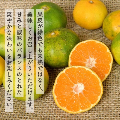 ハウスみかん　5kg(秀品)