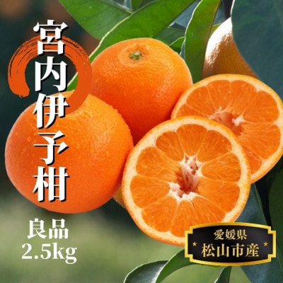 【宮内伊予柑】良品 約2.5kg <1月末～3月下旬頃発送>