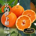 【宮内伊予柑】良品 約5kg <2026年1月末～3月中旬頃より発送>