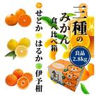 【三種のみかん食べ比べ箱】せと・はるか・宮内伊予柑 (良品)約2.8kg<2026年2月頃より発送>