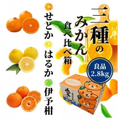 【三種のみかん食べ比べ箱】せと・はるか・宮内伊予柑 (良品)約2.8kg<2026年2月頃より発送>