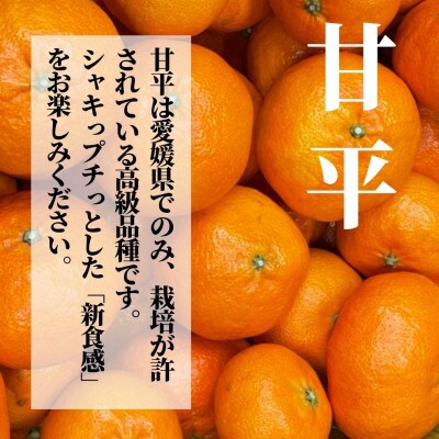 【三種のみかん食べ比べ箱】甘平・はるか・宮内伊予柑 (良品)約2.8kg＜2024年2月頃より発送＞