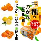 【三種のみかん食べ比べ箱】せとか・はるか・宮内伊予柑 (家庭用)約2.8kg<2024年2月より発送
