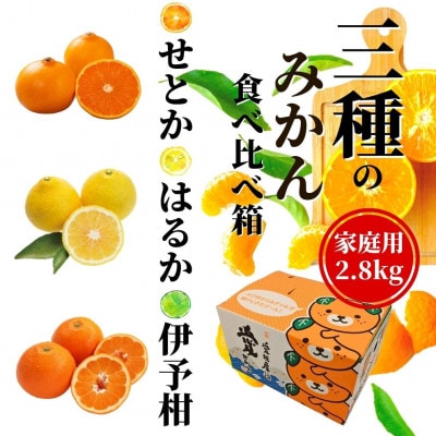 【三種のみかん食べ比べ箱】せとか・はるか・宮内伊予柑 (家庭用)約2.8kg<2024年2月より発送