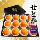 プレミアム【せとか】 化粧箱入