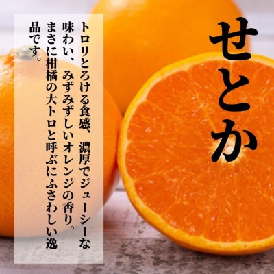 プレミアム【せとか】 化粧箱入