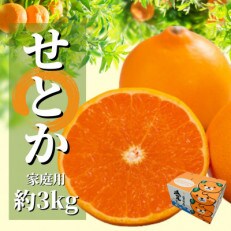 【せとか】家庭用 約3kg ＜2024年2月～3月頃より発送＞