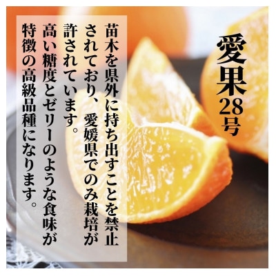 2種のみかん食べ比べ箱 愛果28号・はれひめ(良品) 約2.8kg ＜12月～1月頭頃順次発送＞