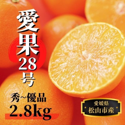 【愛果28号】約2.8kg(秀～優品)〈12月～順次発送〉