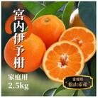【宮内伊予柑】家庭用 約2.5kg ＜1月末～3月中旬頃発送＞