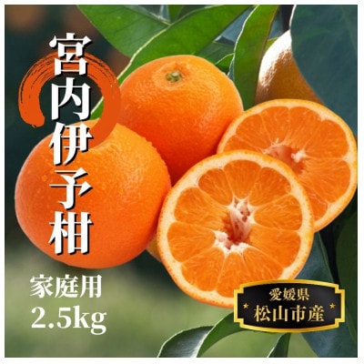 【宮内伊予柑】家庭用 約2.5kg ＜1月末～3月中旬頃発送＞