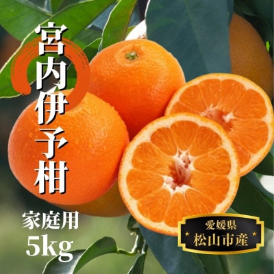 【宮内伊予柑】家庭用 約5kg <1月末～3月中旬頃発送>