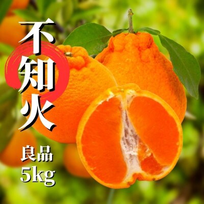 【不知火】良品 約5kg 【2026年2月下旬より順次発送】