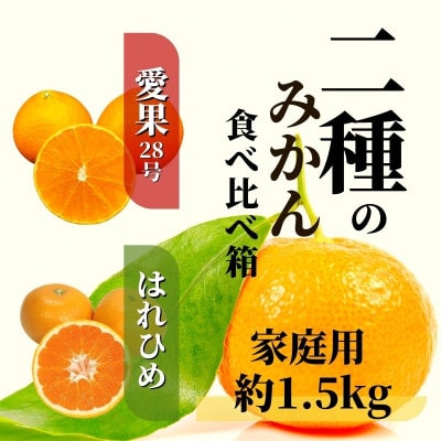 2種のみかん食べ比べ箱 愛果28号・はれひめ(家庭用) 約1.5kg 【12月～順次発送】