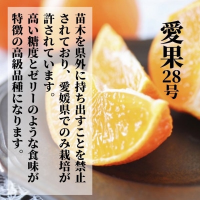 2種のみかん食べ比べ箱 愛果28号・はれひめ(家庭用) 約1.5kg 【12月～順次発送】