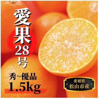 【愛果28号】約1.5kg(秀～優品)【12月～順次発送】
