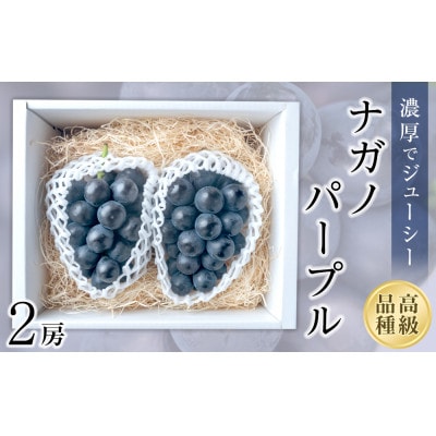 ナガノパープル 2房(化粧箱入)