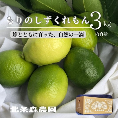 もりのしずくれもん(国産レモン)3kg