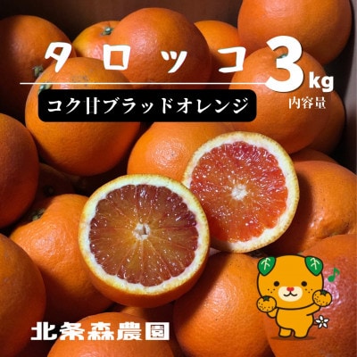 【2027年3月より順次発送】　ブラッドオレンジ　タロッコ　3kg