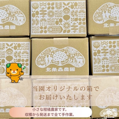 【2027年3月より順次発送】　ブラッドオレンジ　タロッコ　3kg