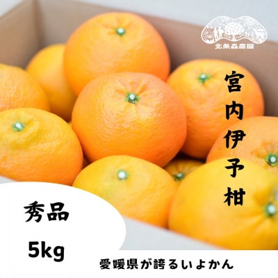 【2026年1月から順次発送】愛媛といえばいよかん　宮内伊予柑　5kg　