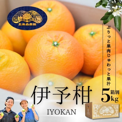 【2027年1月から順次発送】愛媛といえばいよかん　宮内伊予柑　5kg　みかん