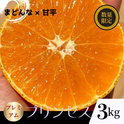【2026年3月より順次発送】あいか48号　2025年新品種　紅プリンセスと同品種