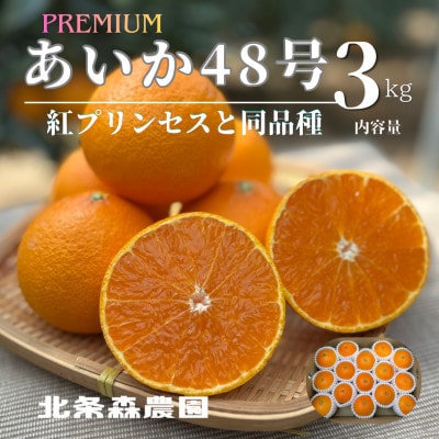 【2027年3月より順次発送】あいか48号　2025年新品種　紅プリンセスと同品種