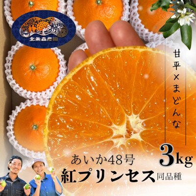 今話題のあいか48号　2027年3月より旬をお届け　紅プリンセスと同品種