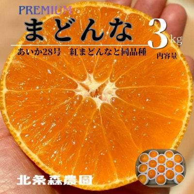 【先行予約2026年11月下旬順次発送】　　　　あいか28号　紅まどんなと同品種ご褒美に!贈り物に!