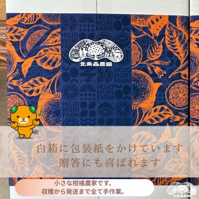 【先行予約2026年11月下旬順次発送】　　　　あいか28号　紅まどんなと同品種ご褒美に!贈り物に!