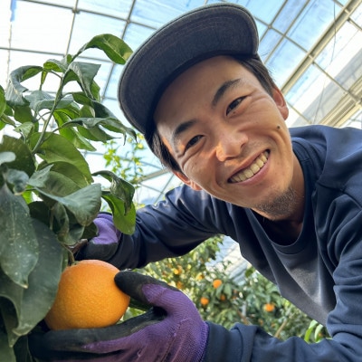 【先行予約2025年12月順次発送】　　　　あいか28号　紅まどんなと同品種ご褒美に!贈り物に!