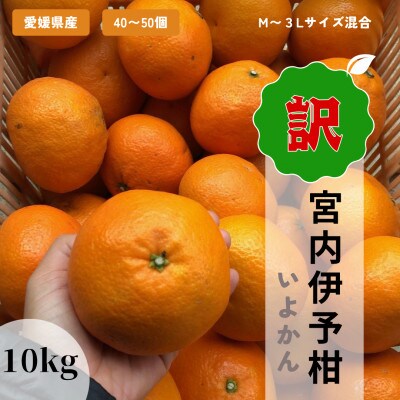 訳あり家庭用いよかん